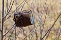 Old rusty brown tin can hanging on a tree branch in the forest