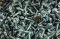 Old rusty screw on a pile of new screws Royalty Free Stock Photo