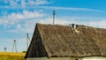 One old thatched cottage in field Royalty Free Stock Photo