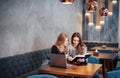 One-on-one meeting.Two young business women sitting at table in cafe.Girl shows colleague information on laptop screen Royalty Free Stock Photo