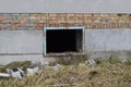 one open iron basement window on gray concrete foundation