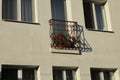 One open iron brown balcony with flowerpots and red flowers Royalty Free Stock Photo