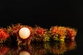 One open and may closed rambutans on a mirror with a black background