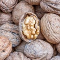 One open walnut on nutshells, tasty background Royalty Free Stock Photo