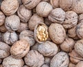 One open walnut on nutshells, tasty background Royalty Free Stock Photo