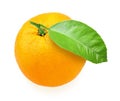 Orange-fruit with green leaf Royalty Free Stock Photo