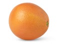 One orange fruit isolated. Grapefruit isolated with clipping path. Full depth of field. Royalty Free Stock Photo