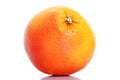 One orange fruit isolated. Royalty Free Stock Photo