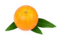 One Orange Fruit isolated on white Royalty Free Stock Photo