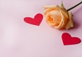 One orange rose and red hearts on a pink background. Valentine`s Day