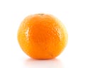 One orange on white background Royalty Free Stock Photo