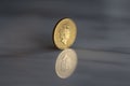 One ounce gold coin. Hundred pounds denomination. Queen Elizabeth II on obverse.