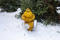 One outdoor yellow and white fire hydrant covered with white snow Royalty Free Stock Photo