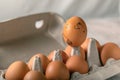 One pained egg standing apart from others eggs. concept of racism, intolerance, denial of society