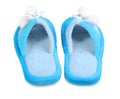 Pair of domestic blue slippers