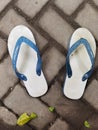 One pair Slippers on the way Royalty Free Stock Photo