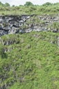 One of a pair of volcanic sinkholes called Los Gemelos on the island of Santa Cruz.