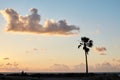 One palm tree at sunset by the sea, Yellow orange and blue sky with small clouds and palm silhouette. Paradise landscape. Tropical
