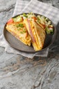 One Pan Breakfast Sandwich is the ultimate hack for busy mornings with egg, ham and cheese closeup on the plate . Vertical Royalty Free Stock Photo
