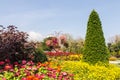 One part of beautiful formal garden Royalty Free Stock Photo