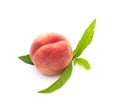 One peach with leaves Royalty Free Stock Photo