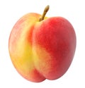 One peach nectarine fruit cut out on white Royalty Free Stock Photo