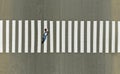 One pedestrian crossing zebra crosswalk, aerial, top view Royalty Free Stock Photo