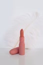 One pencil of pink lipstick and a delicate ostrich feather on a white background, makeup selection concept, natural cosmetics