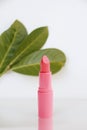 One pencil of pink lipstick and green plants on a white background, makeup selection concept, natural cosmetics