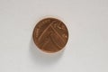 One penny coin isolated