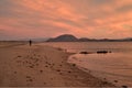 Solitude of a walk along a beach at dawn in Baja, Mexico Royalty Free Stock Photo