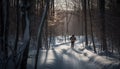 One person hiking outdoors, enjoying winter solitude generated by AI