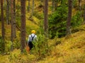 One person searching for a mushrooms in an autumn deep forest. mushroomer in a woods