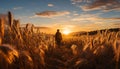 One person standing in serene meadow, enjoying the sunset generated by AI Royalty Free Stock Photo