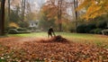 One person working outdoors, raking leaves in autumn season generated by AI