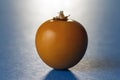 One Physalis fruit against a blue background Royalty Free Stock Photo