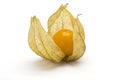 One physalis fruit (Physalis peruviana)