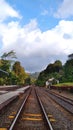 railroad tracks in the middle of the forest