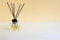 one piece, deluxe fragrant reed diffuser glass bottle used as indoor air freshener