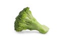 One piece fresh organic broccoli on white isolated background with clipping path. Broccoli have high carbohydrate and fiber so Royalty Free Stock Photo