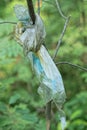 one piece of gray white dirty old cellophane hanging tied in a knot on a tree branch Royalty Free Stock Photo