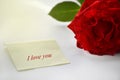 One piece of paper next to it is a red rose. Place for text and greetings. Romantic card. Gentle, beautiful background.