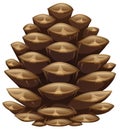 One pinecone in closeup look