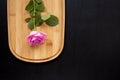 One pink rose lays on a wooden chopping board on a dark background. top view with area for text