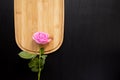 One pink rose lays on a wooden chopping board on a dark background. top view with area for text