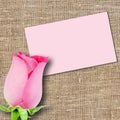 One pink rose and message-card Royalty Free Stock Photo