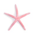 One pink sea star isolated on white, top view Royalty Free Stock Photo