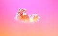 one pink sunset huge cumulus cloud , nature 3D rendering