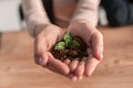 One plant in female hand