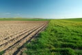 One plowed field and another green, horizon and clear sky, view on a sunny spring day Royalty Free Stock Photo